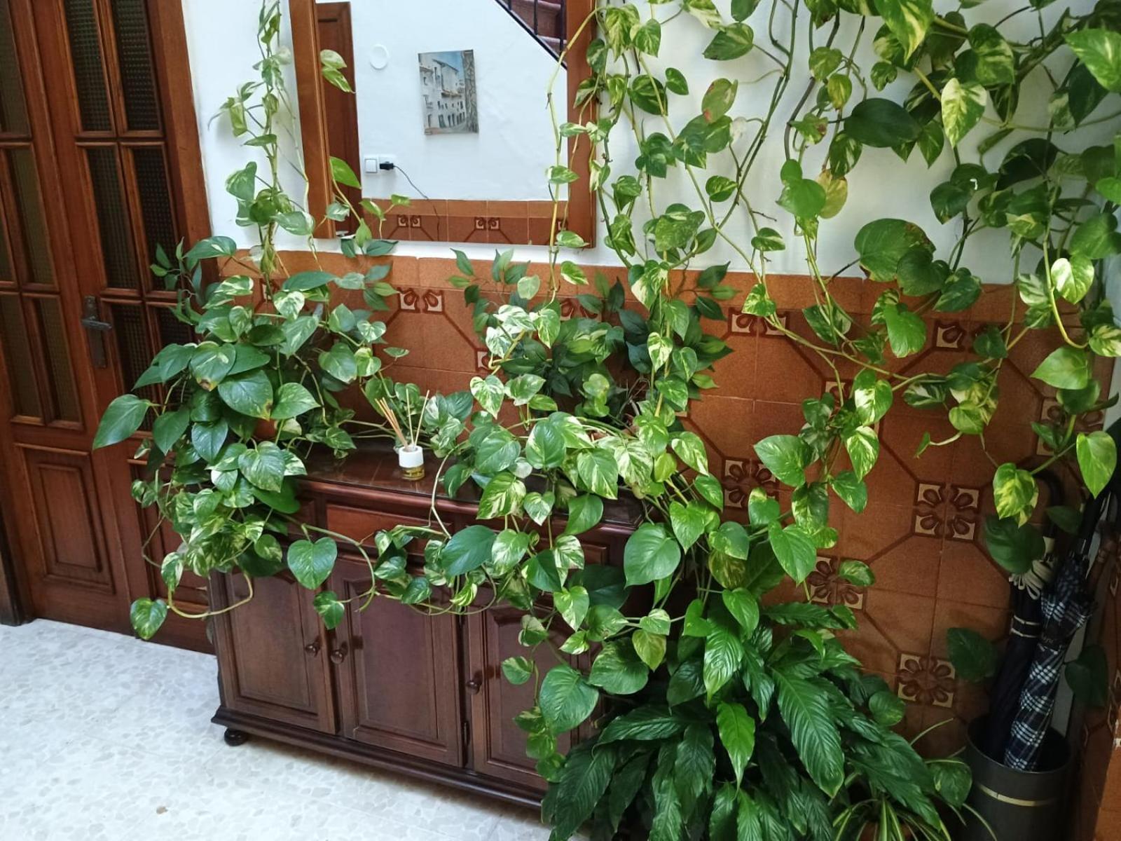 Casa Matbel Leilighet Córdoba Eksteriør bilde